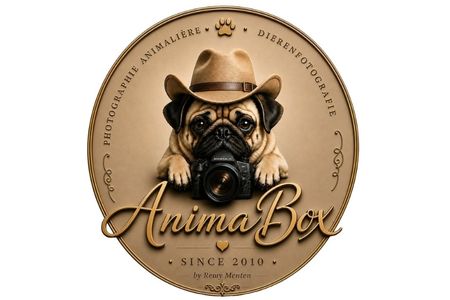 Animabox