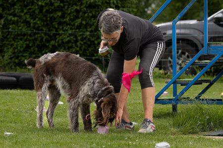 Nosework