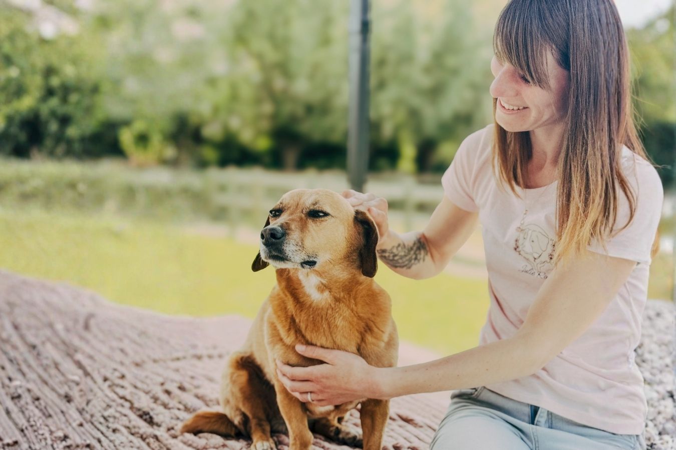 Massage Canin
