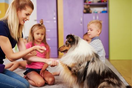 Décoder le langage de votre chien