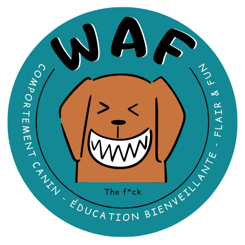 Waf the fuck