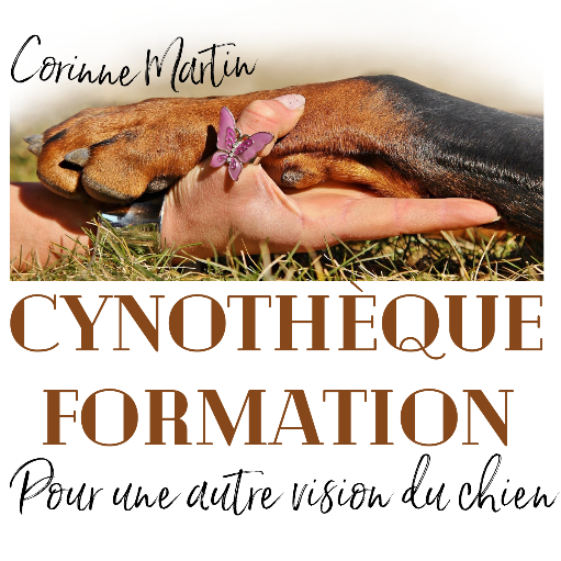 Cynothèque Formation
