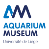 Aquarium Museum 